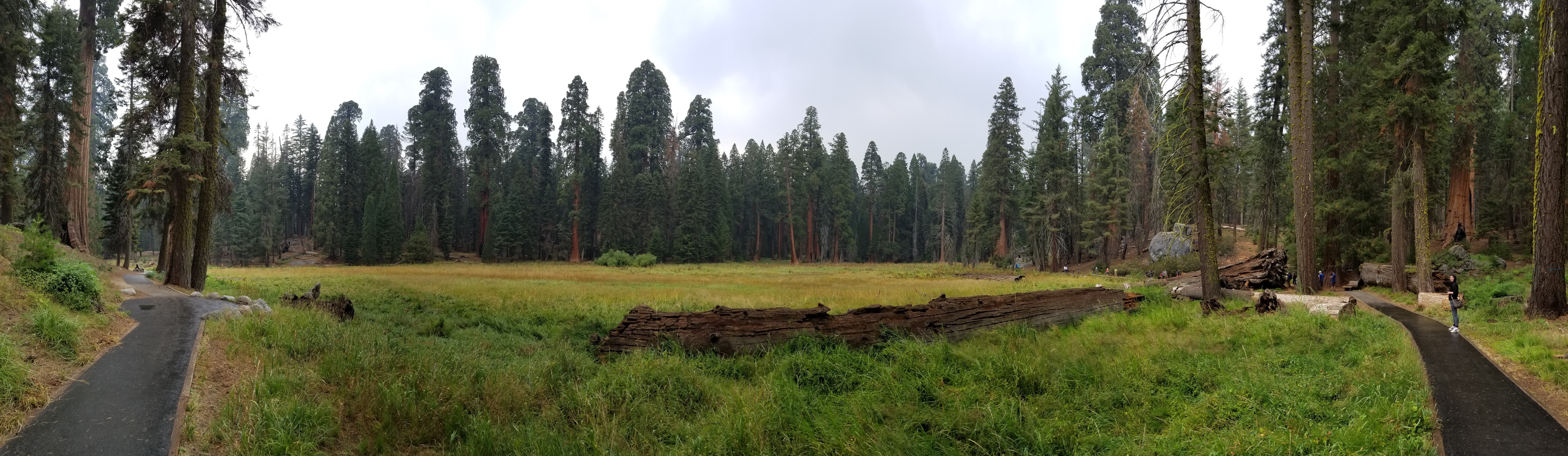 20170903_125424.jpg
