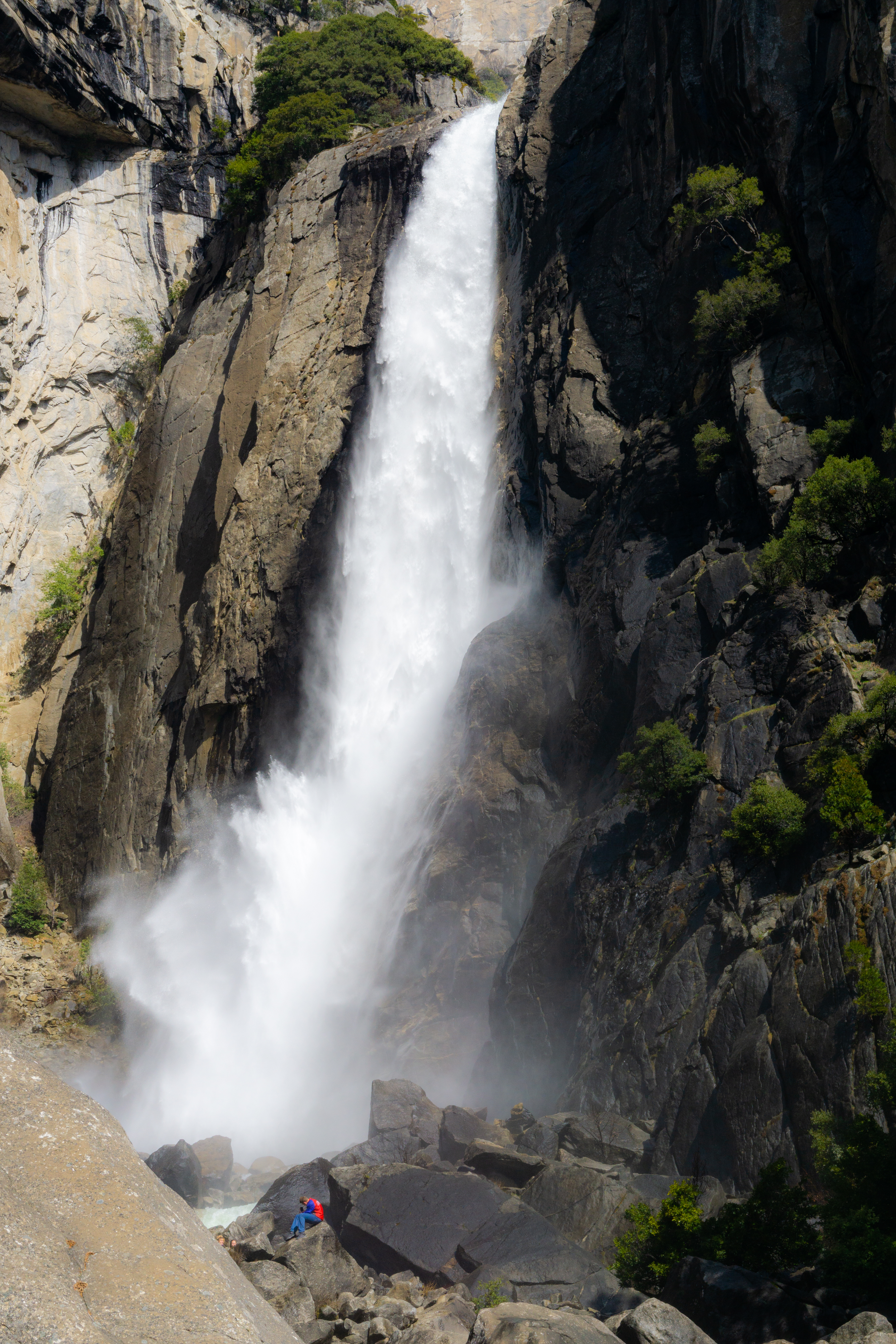 Yosemite_2019 (8 of 13)